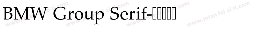 BMW Group Serif字体转换